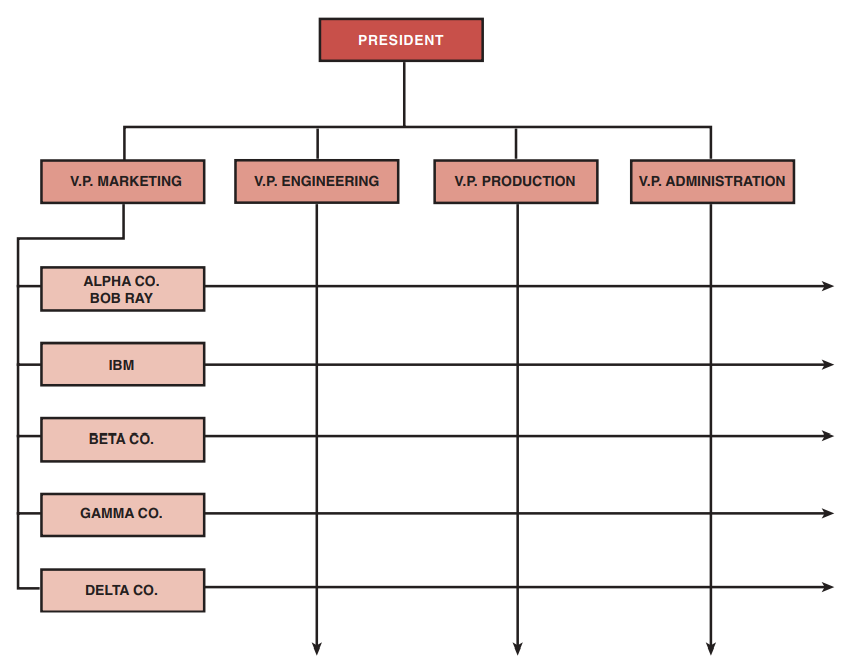 FIGURE 3–15. Matrix for a small company.