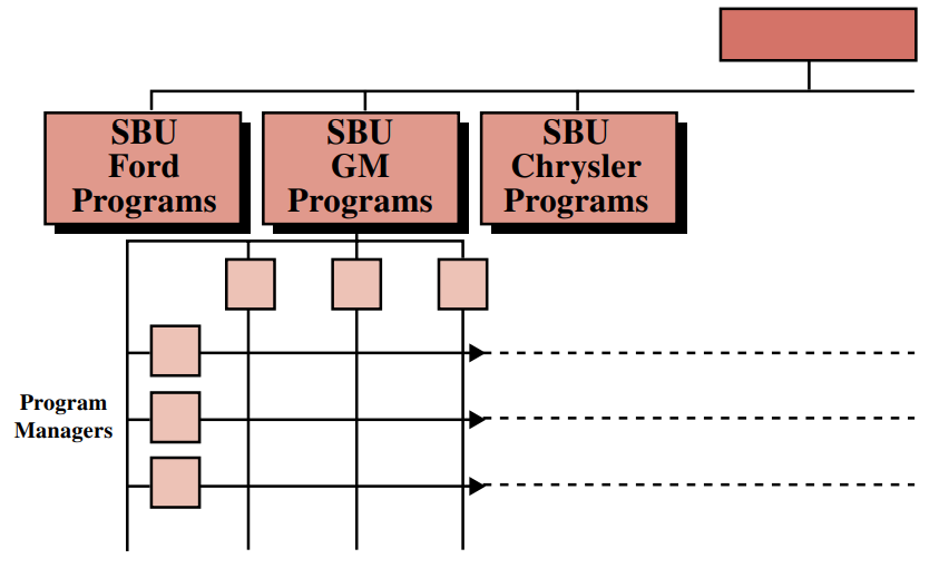 FIGURE 3–17. Strategic business unit project management.