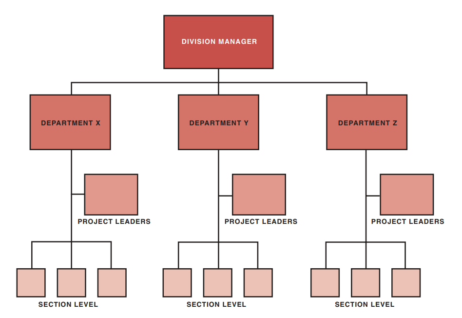 FIGURE 3–2. Departmental project management.