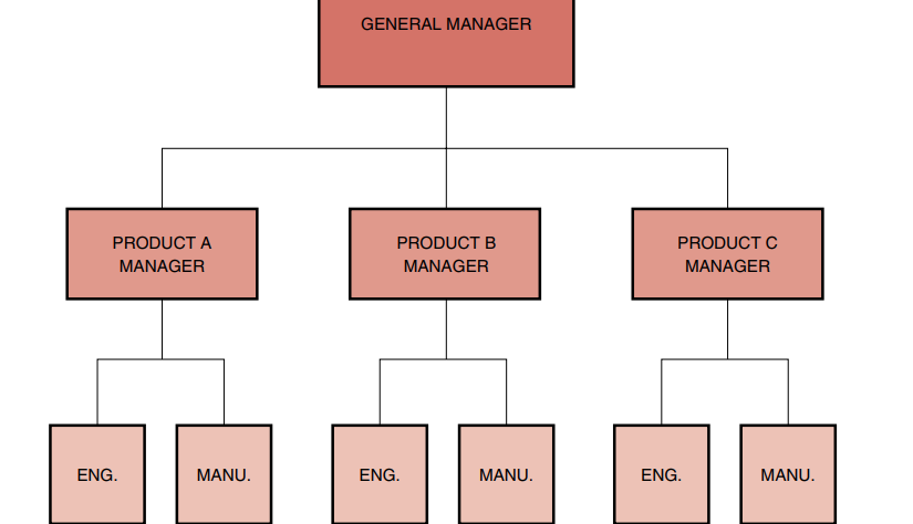 Successful project management