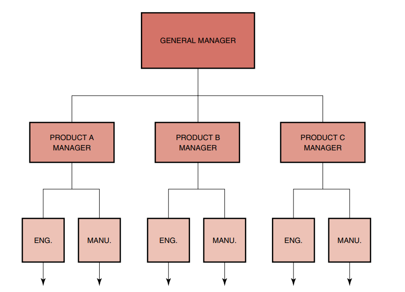 FIGURE 3–5. Pure product or projectized structure.